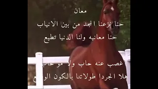 معان   سيفنا يخلي الدم شلال دندنها