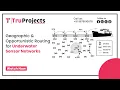 Geographic and Opportunistic Routing for Underwater Sensor Networks