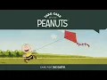 Take Care with Peanuts We Need Our Trees