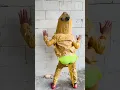 Download Lagu Kirain suara tok tok ternyata suara tokek raksasa