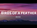 Download Lagu Billie Eilish - BIRDS OF A FEATHER (Lyrics)