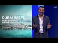 Dubai Reefs The World s Largest Ocean Restoration Project Baharash Bagherian