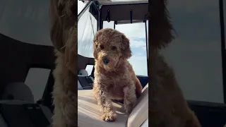 Come pick up anchor with me and move to a new anchorage! #sailing #badweather #bahamas