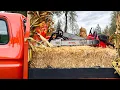 Can a Battery Chainsaw Handle Professional Tree Work The surprising Truth