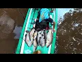 Lagu Fishing trip 24 jam panen ikan besar dan langsung memasaknya di perahu