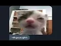 Eepy