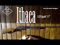 Your Granddaddy s Shotgun - Ithaca Model 37 12 Gauge Shotgun
