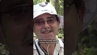 Харків вночі заполоняють метелики Shortsvideo харків 