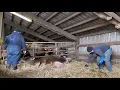 The Wins and loses in farming
