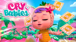 🥁 WER WIRD GEWINNEN 🍧 ICY WORLD 🥶 NEUE STAFFEL 🌟 CRY BABIES 💧 MAGIC TEARS 💕 CARTOONS und SERIEN