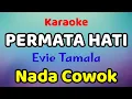 Download Lagu PERMATA HATI Karaoke Nada Cowok / Nada Pria Evie Tamala