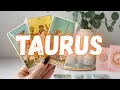 TAURUS I M SORRY BUT AN EXTREMELY HIGH-PROFILE PERSON IS COMING YOUR WAY