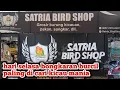 Lagu Update stock hari selasa di satria bird shop bongkaran ciblek semi.srikantil.murai dl