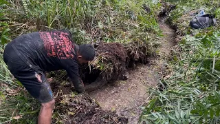 Membongkar Kayu Berumur Ratusan Tahun Di Dalamnya Jadi Sarang Ikan2 Monster