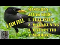 Download Lagu jalak kebo jos