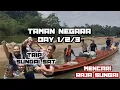 Lagu PERJALANAN MENCARI RAJA SUNGAI | SUNGAI SAT TAMAN NEGARA PAHANG | DALAM HUTAN ADA COVERAGE ELON MUSK