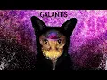 Galantis - Gold Dust (ILLENIUM 2015 Remix)