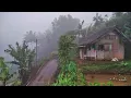 Download Lagu Dingin ‼️ Pagi berkabut di kampung tertinggi di Ciamis suasana pedesaan dngan nuansa alam pegunungan