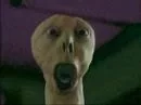 Yelling Creature The original