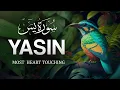 Lagu Surah Yaseen | Beautiful Recitation by Mishary Rashid Alafasy | Arabic with English Translation