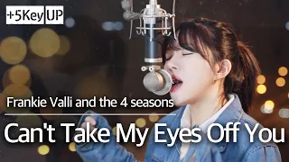 Download (+5 key up Funk Rock ver. ) Can't Take My Eyes Off You - Frankie Valli cover | Bubble Dia MP3