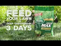 Get Extreme Deep Greening in Just 3 Days Scotts Green MAX