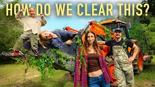 We Bought 64 Acres of Jungle.. Now We Have to Clear It!