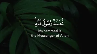 محمد رسول الله والذين معه أشداء على الكفار رحماء بينهم تراهم ركعا سجدا ياسر الدوسري 