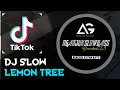 DJ SLOW • LEMON TREE • VIRAL TIKTOK