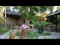 Download Lagu Terug op bezoek bij mijn zus Son Thon en haar helpen met de renovatie van haar huis