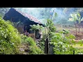 Download Lagu Seperti Ini Kisah Cerita Kehidupan Di Desa Yang Sederhana Serasa Kembali Ke Tahun 80 Han