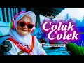 Lagu COLAK COLEK – CAMELIA MALIK | REGGAE COVER SANTAI VIBES PALING ENAK