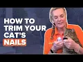 How To Trim Your Cat s Nails