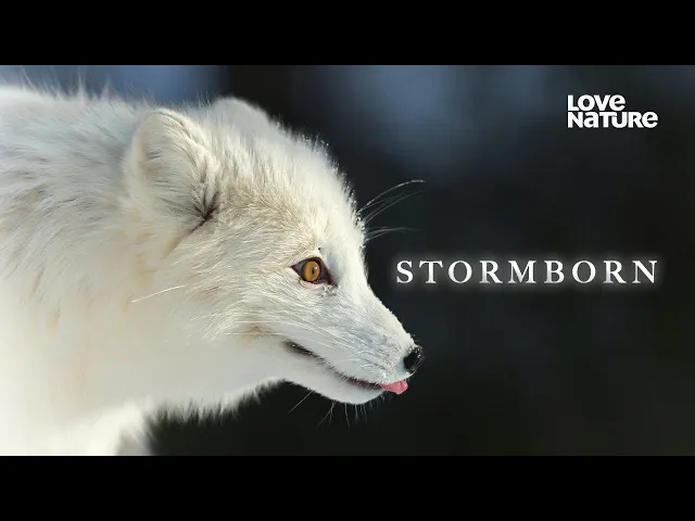 Stormborn | Love Nature