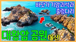 울산 대왕암공원 | 출렁다리 / 대왕암 / 울기등대 | 대한민국 좋은 여행지 | Korea Travel 썸네일