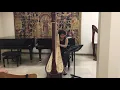 I Préludes intimes - Carlos Salzedo