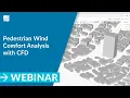 Pedestrian Wind Comfort Assessment with Cloud-Based CFD