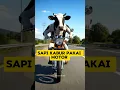 Download Lagu sapi naik motor #shorts #short #shortsvideo #shortsviral #shortsfeed #shortvideo #shortfeed #sapi MP3