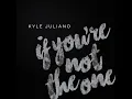 If You're Not the One