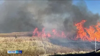 Из-за жары за сутки ликвидируют около 30 возгораний в Омской области