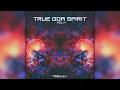 Lagu True Goa Spirit, Vol. 4 (timewarp167/Geomagnetic Records/Psytrance)::Full Album