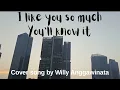 Lagu Lirik I like you so much, You'll know it. Cover song by Willy Anggawinata