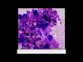 ⛽Moneybagg Yo feat. Big Homie G - "Kut Like Dat" #SLOWED🔥