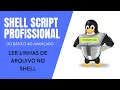 Professional Shell Script Mod 2 - While read Reading file lines