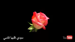 ينبعاوي   اغنيه سيدي قلبها قاسي دندنها