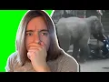 Is LiveLeak better than TikTok Liveleak reaction