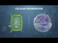 AI-Created Educational s Cells Explained Cellular Organization DM for your AI s