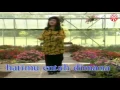 Download Lagu Berikan Daku Jawaban   Ernie Djohan ( Tembang Kenangan Vol.6 Bung Deny)