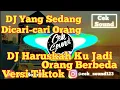 Download Lagu DJ Haruskah Ku Jadi Orang Berbeda Hanya Untuk Membuat Dirimu Bahagia Versi Tiktok Terbaru