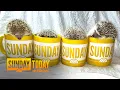 4 Adorable Hedgehogs Get Cozy For Sunday Mug Shots